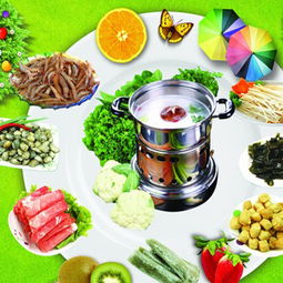 飞龙火锅 产品图鉴、加盟店实力与专业餐饮管理解析